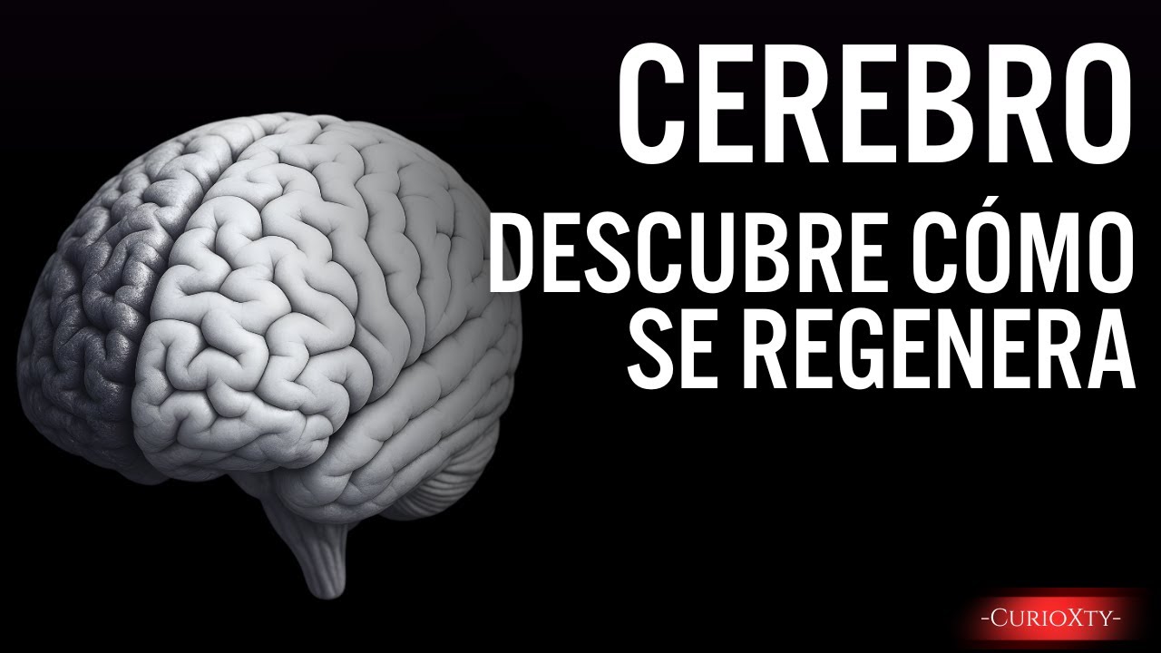 🔬 Experimentos reales que cambiaron todo lo que creíamos del cerebro