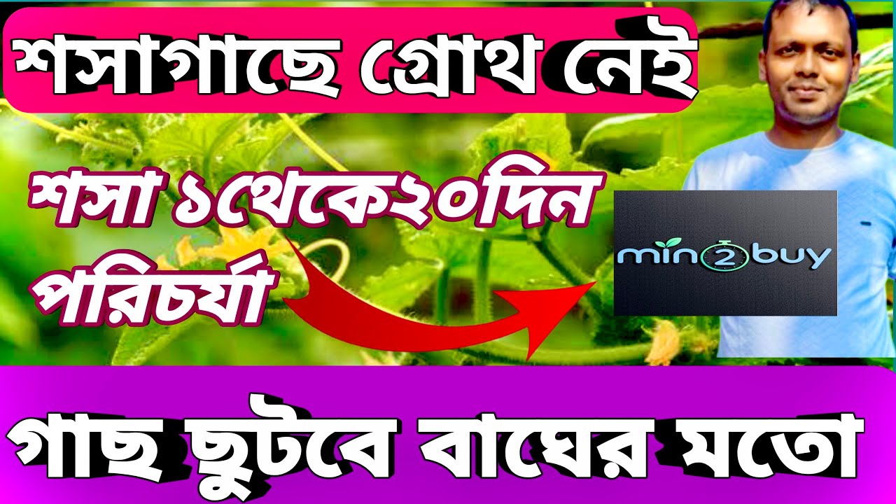 শসা গাছ বসে গেছে চিন্তা নেই ॥মাত্র 40Ml এ গাছ লাফাবে@AgricultureBook 