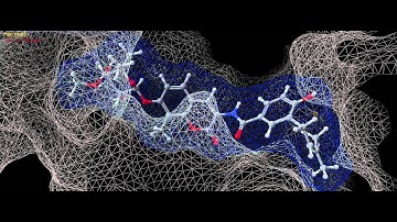 DNH2-binding pocket in the HSP90 C-terminal