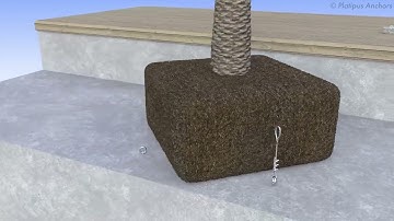 Tree Anchoring with the Platipus 4-Leg Specialist Fixing System using Plati-Mat