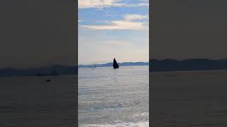 Бухта Лашкевича🌊дорога стала хуже, но проехать можно. После дождей вода грязная, спокойная.