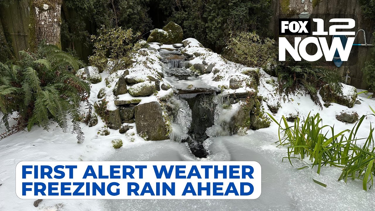 LIVE: First Alert Weather; freezing rain headed our way - YouTube