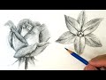 Drawing and shading flower