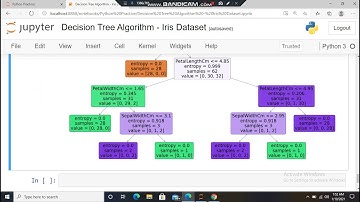 Decision Tree Algorithm - Iris Dataset