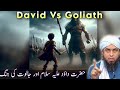 David vs goliath  engineer muhammad ali mirza  emam enlightenment