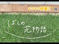 芝生のエッジ処理を時短!芝刈り機だけで完結する方法! レンガを設置するとキワ刈りが楽になる!【芝刈り】【芝】【tm9】