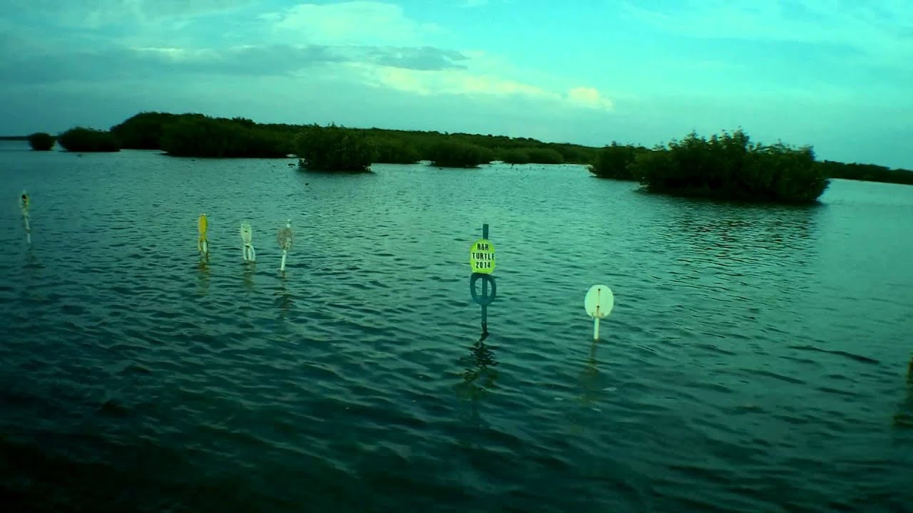 The Toilet Seat Pass YouTube