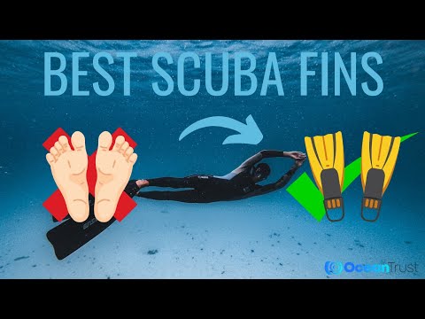 Best Scuba Diving