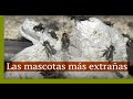 Las mascotas más extrañas y cariñosas