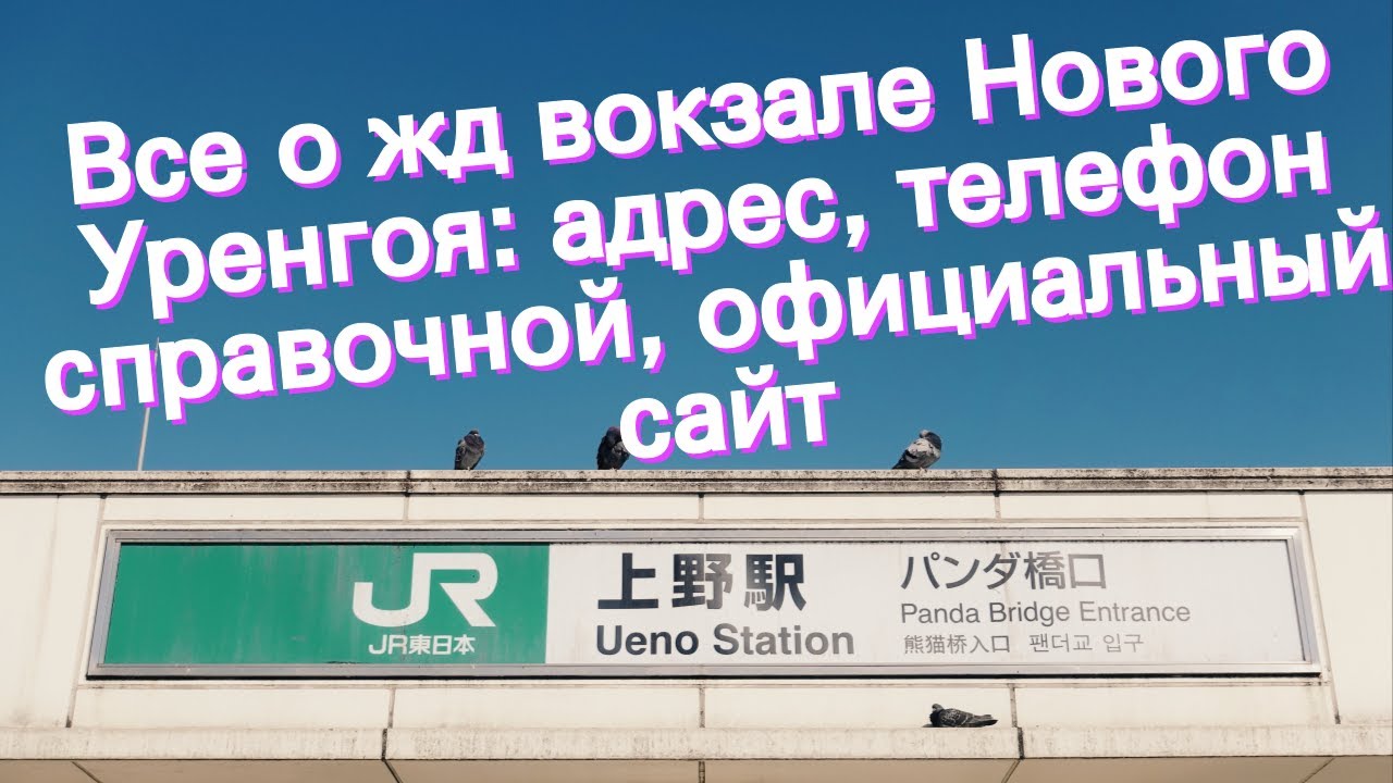 Жд справочная телефон новосибирск. ЖД вокзал Уренгой. Вокзал новый Уренгой. ЖД вокзал Назрань телефон справочной службы.