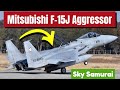 Meet Japan's F-15J Aggressor: An Air Superiority Fighter Birthed by the F-15 Eagle