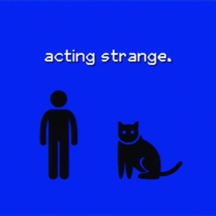 ANALOG HORROR - Cute Cats!