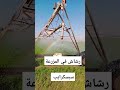  369 رشاش مزرعة    88