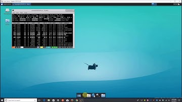 PGPLOT running on Windows 10 Subsystem for Linux  (WSL)