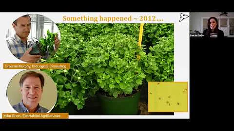 Greenhouse IPM 101, Vol.8: Thrips Biocontrol in Canada