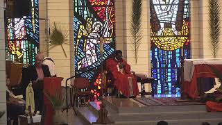 Palm Sunday of the Lord's Passion