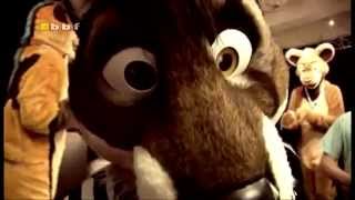 Confuzzled 2011 (AR Edit)