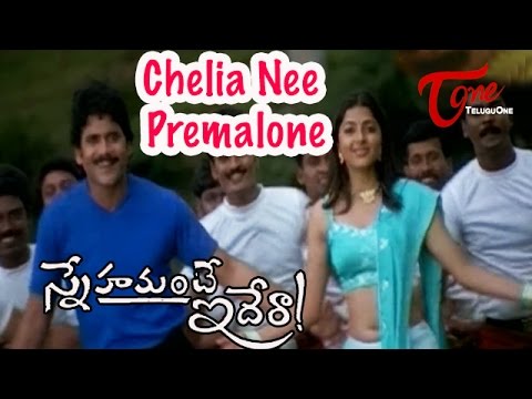 Snehamante Idera Songs   Chelia Nee Premalone   Nagarjuna   Bhoomika