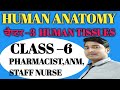 #upsssc_anm_exam_class  Human Anatomy class –6 | UPSSSC ANM main exam |  D pharma class #upssscanm