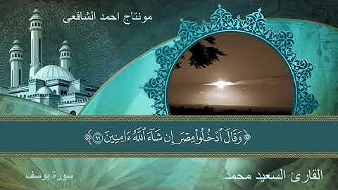 فلما أن جاء البشير ألقاه على وجهه فارتد بصيرا 💗 تلاوة هادئة القارئ السعيد محمد (سورة يوسف )