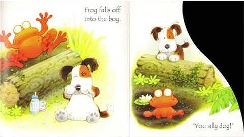 Usborne Phonics Readers - Frog On A Log