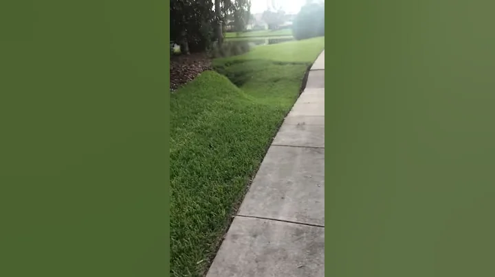 CRAZY SINKHOLE IN FLORIDA AFTER HURRICANE IRMA