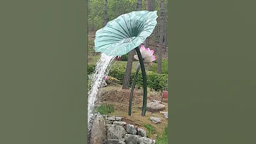 May 8 2025 