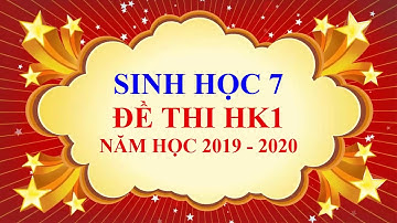 Sinh học lớp 7 - Đề thi học kì 1 - năm học 2019 - 2020