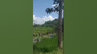 Tapak tapak cinta VOC Detty Kurnia