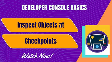Salesforce Trailhead - Inspect Objects at Checkpoints