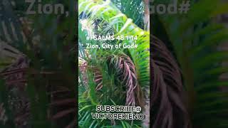 #PSALMS 48:1-14Zion, City of God#