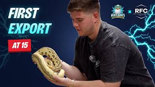 Exporting Ball Pythons From South Africa | DJ van Wyk, Reptiles for Centuries (Herpenomics #4)