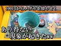 とんでもない現象に遭遇した100円からメダルを増やす企画【メダルゲーム】
