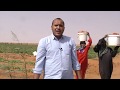 برنامج سنابل السودان بلد الخير ولا احد يغني له زيارة شركة الكلثوم بغرب أم درمان