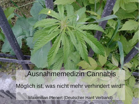 Ausnahmemedizin Cannabis - Möglich ist, was nicht mehr verhindert wird!