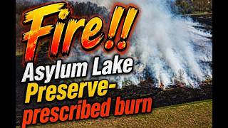 Asylum Lake Preserve-prescribed burn