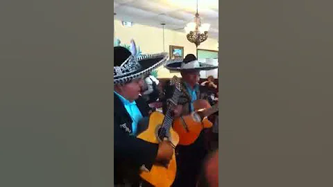Happy Cinco de Mayo!!!