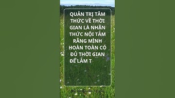048 | Triết lý giáo dục tận gốc  #baihoccuocsong #wit  #trietlynhansinh #trietlygiaoductangoc
