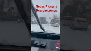 Первый снег