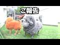 本当にありがとうございました。