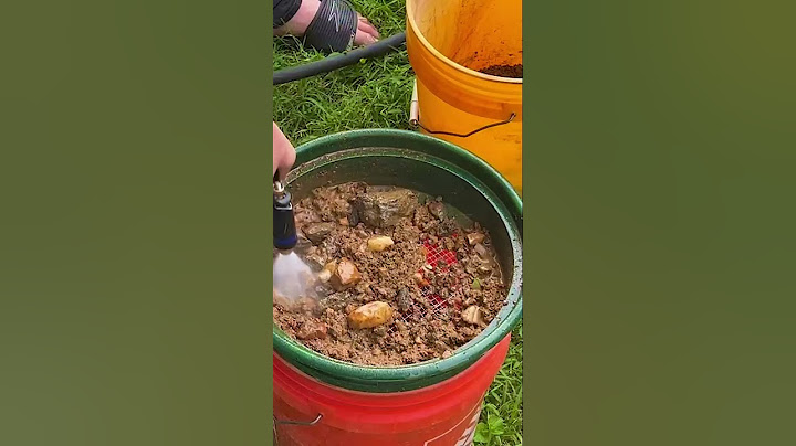 I Tried Gold Panning at Home and This Happened!