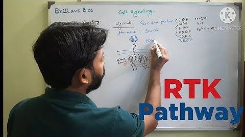 Cell signaling : Receptor Tyrosine Kinase (RTK) Pathway