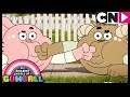 Os Imitadores | O Incrível Mundo de Gumball | Cartoon Network