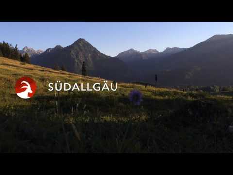 Sommer im Südallgäu