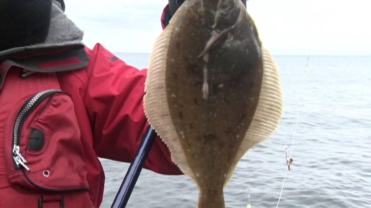 釣り百景 030 早春の北海道で爽快投げ釣り 良型カレイを堪能する Youtube