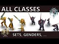 WOW CLASSIC: All Classes, Sets & Animations