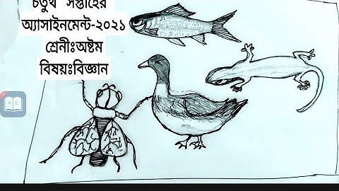 4the Assignment-2021.Class-8.sub-Science