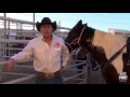 Senora scott mmj rodeoag reel fall 2016