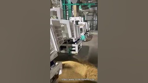 Rice Separator Machine | Gravity Paddy Separator for Sale #ricemillsupplier #ricemill #autoricemill