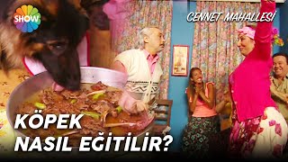 Cennet Mahallesi | Pembe ve Yunus ödül için Alman köpeğini eğitmeye çalışıyor!